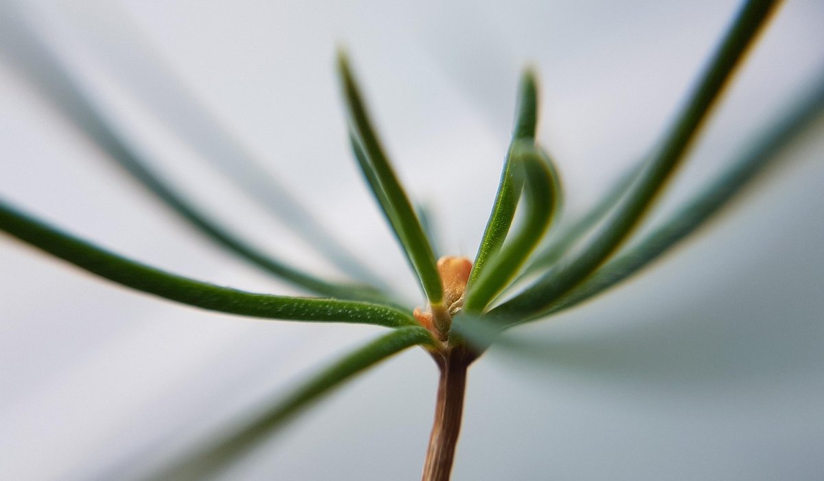 blog single post
