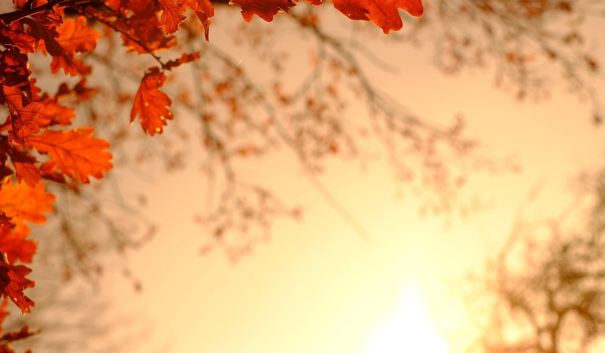 blog single post
